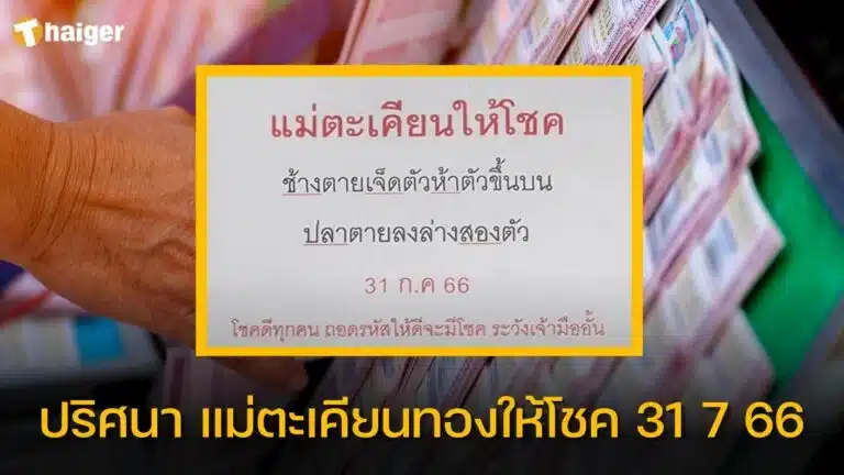 รวมเลขเด็ด 31 7 66