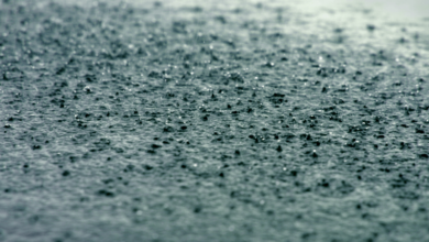 ฝนฟ้าอากาศวันนี้