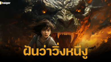 ฝันว่าวิ่งหนีงู ทำนายฝัน เลขเด็ด