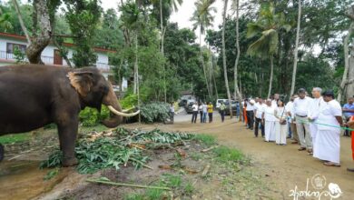 พลายประตูผา ล่าสุด