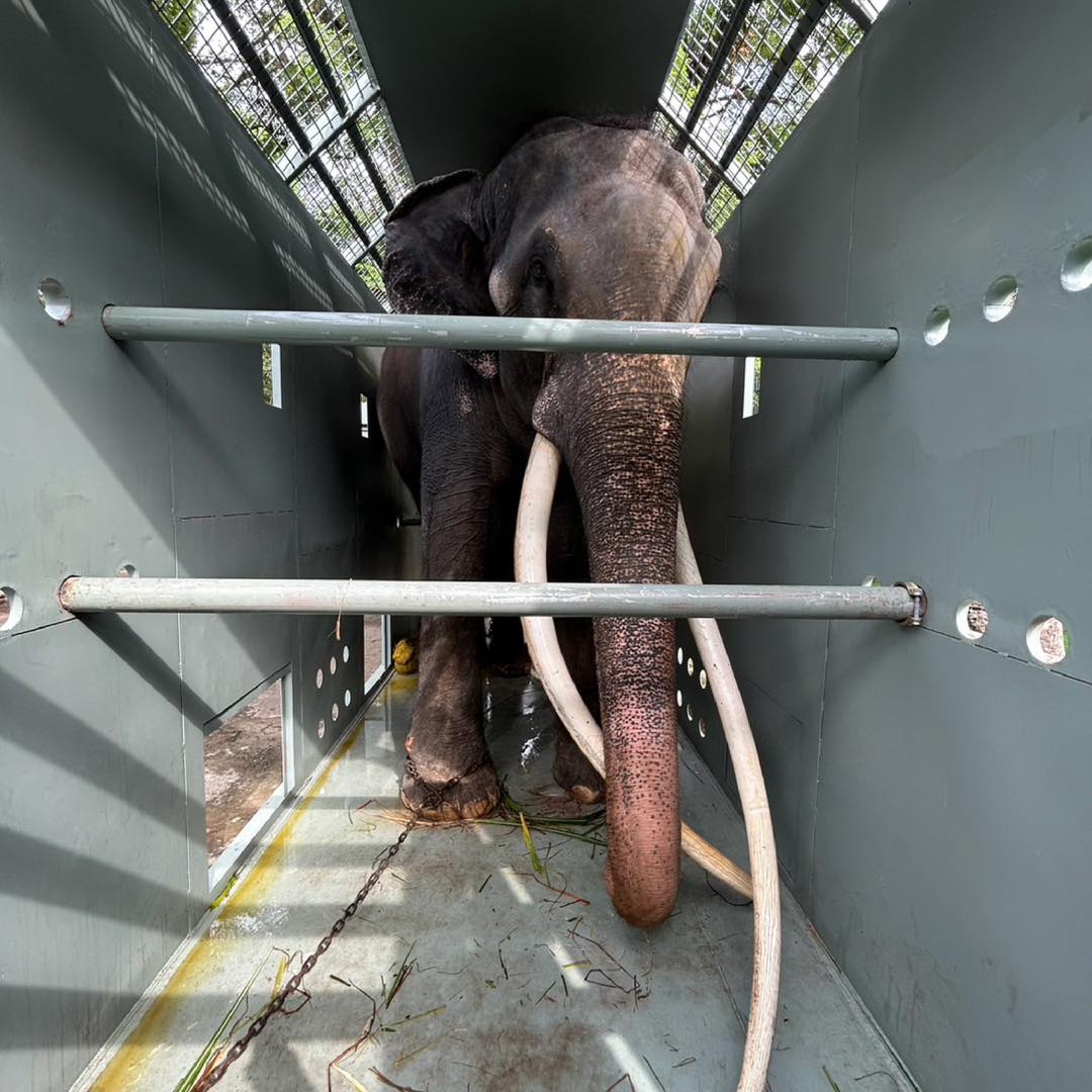 พลายศักดิ์สุรินทร์ ประวัติ