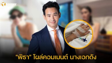 พิธา มัดหมี่
