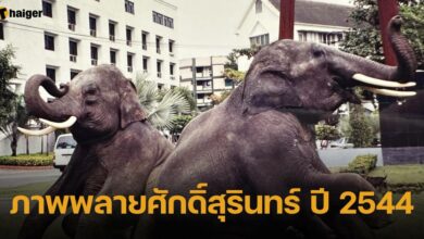ภาพพลายศักดิ์สุรินทร์ ปี 2544