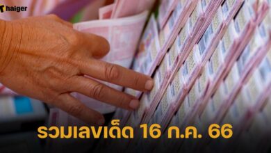 รวมเลขเด็ด 16 7 66
