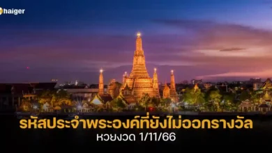 รหัสประจำพระองค์ที่ยังไม่ออกรางวัล หวยงวด 11166