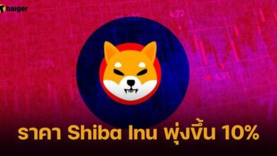 ราคา Shiba Inu พุ่งขึ้น 10%