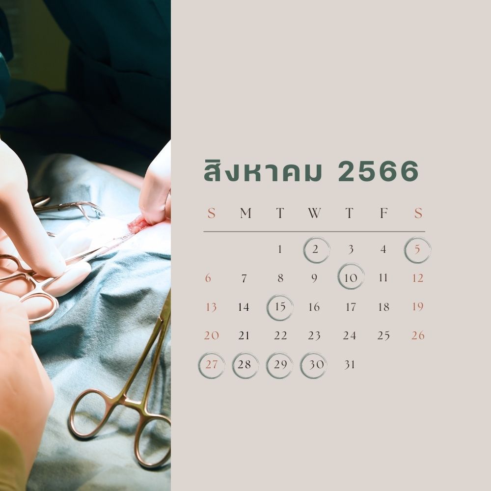 ฤกษ์ผ่าตัดทำศัลยกรรม สิงหาคม 2566