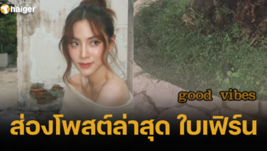 ส่องโพสต์ล่าสุด ใบเฟิร์น 2566