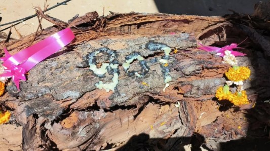 หวยเจ้าแม่ตะเคียนทอง 150 ปี