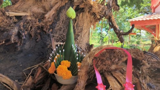 หวยเจ้าแม่ตะเคียนทอง 150 ปี