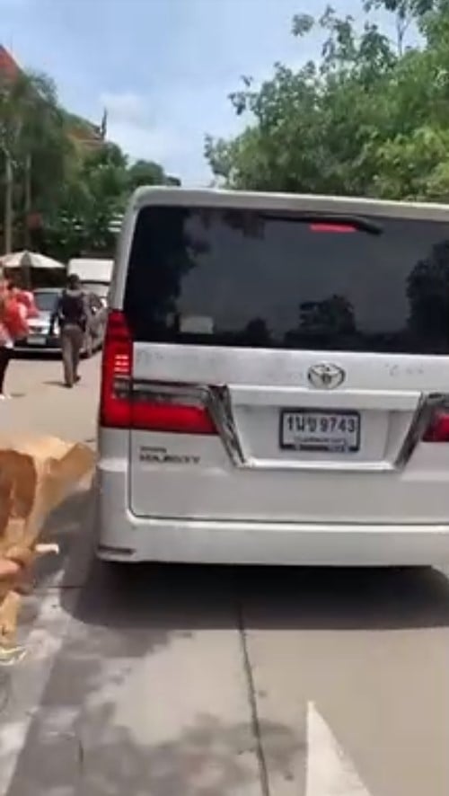 เขียนรถ พิธา