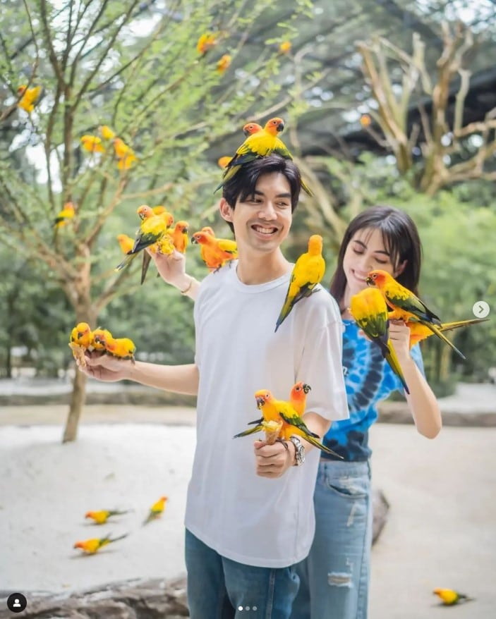 เต๋อ ฉันทวิชช์ ซิกแพค