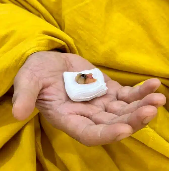 รวมเลขเด็ด 31 กรกฎาคม 2566