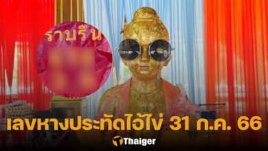 เลขหางประทัดไอ้ไข่ 31 7 66