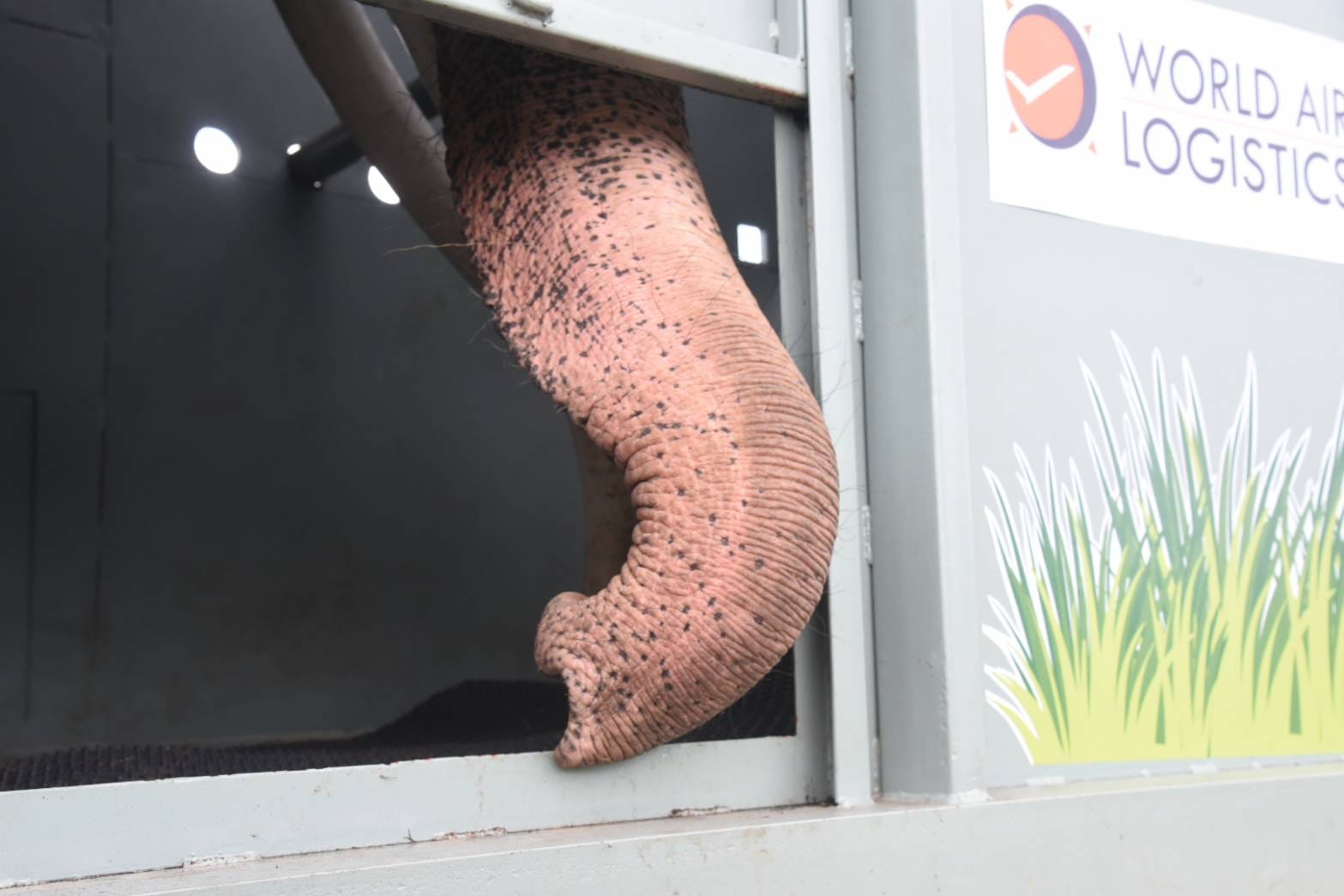 เลขเครื่องบิน พลายศักดิ์สุรินทร์