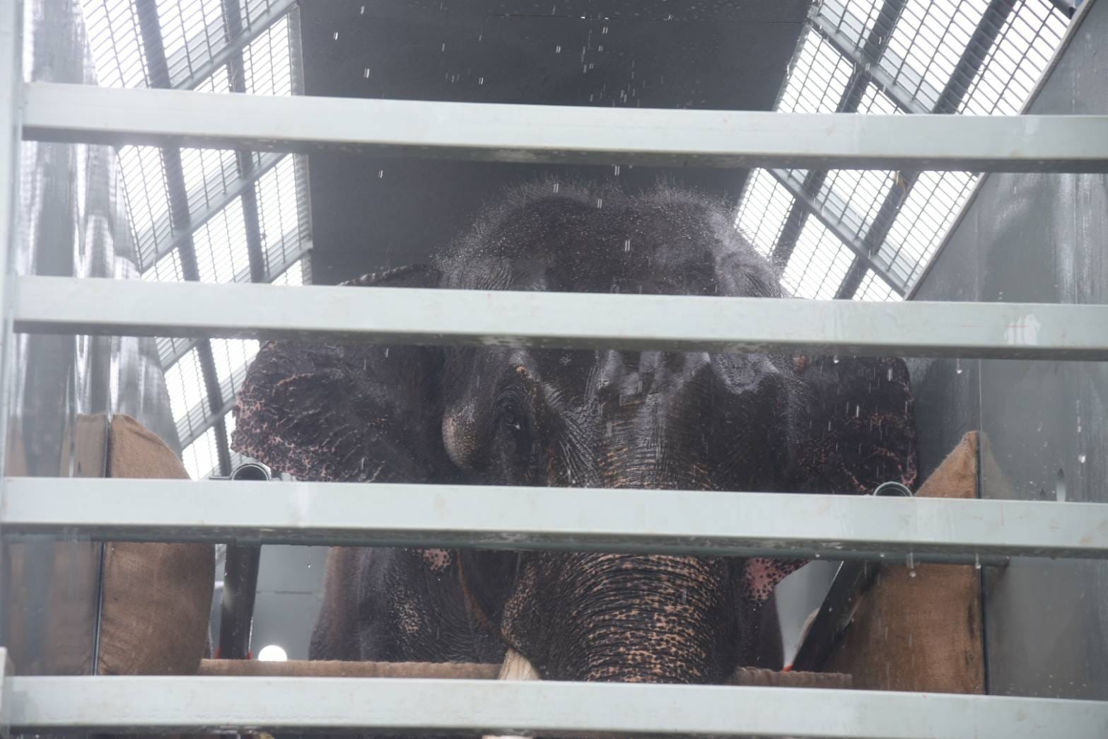 เลขเครื่องบิน พลายศักดิ์สุรินทร์