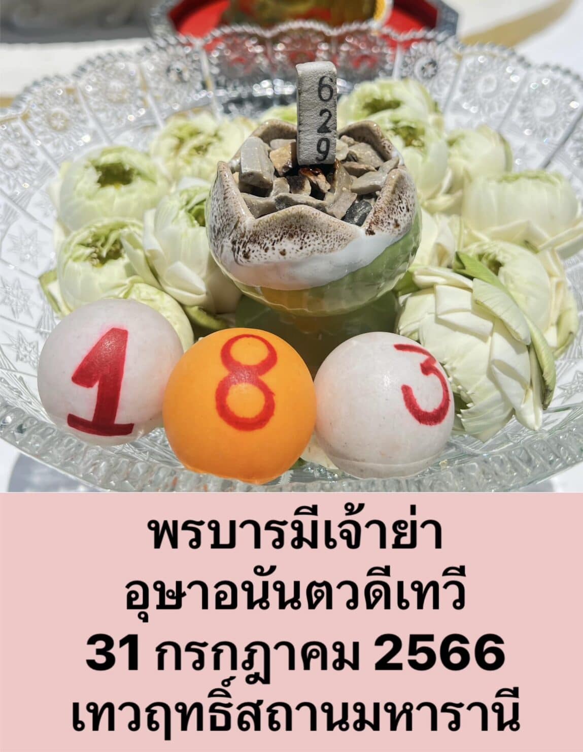 รวมเลขเด็ด 31 7 66