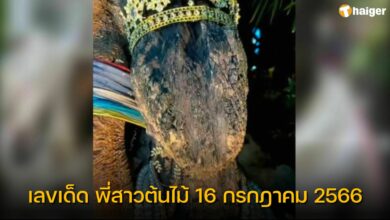 เลขเด็ด พี่สาวต้นไม้ 16 กรกฎาคม 2566