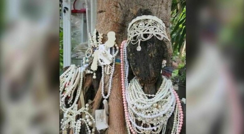 เลขเด็ด พี่สาวต้นไม้ 16 กรกฎาคม 2566