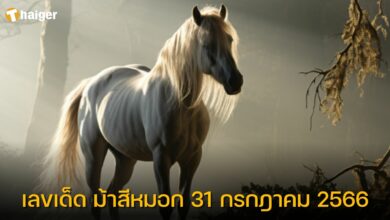 เลขเด็ด ม้าสีหมอก 31 กรกฎาคม 2566