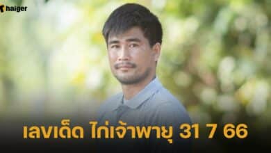 หวย ไก่เจ้าพายุ 31 7 66