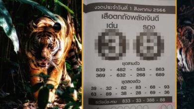 เสือตกถัง1/8/66