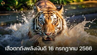 เสือตกถังพลังเงินดี 16 กรกฎาคม 2566