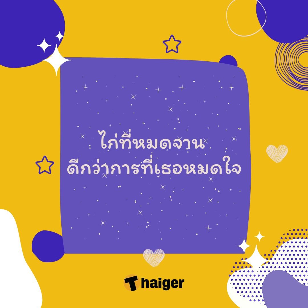 แคปชั่นฮา ๆ 2023