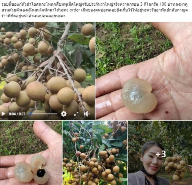 แม่ฟร้อง ศุภกิจ แฟนเก่าเอ้ชุติมา ทำงานอะไร