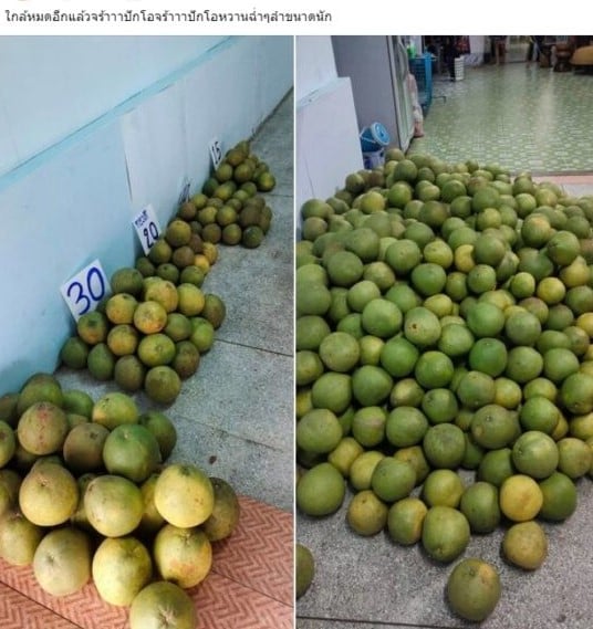 แม่ฟร้อง ศุภกิจ แฟนเก่าเอ้ชุติมา ทำงานอะไร