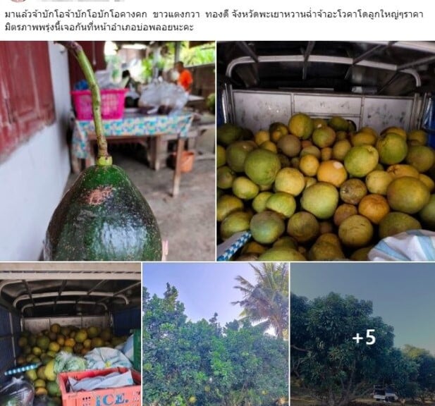 แม่ฟร้อง ศุภกิจ แฟนเก่าเอ้ชุติมา ทำงานอะไร