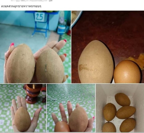 แม่ฟร้อง ศุภกิจ แฟนเก่าเอ้ชุติมา ทำงานอะไร