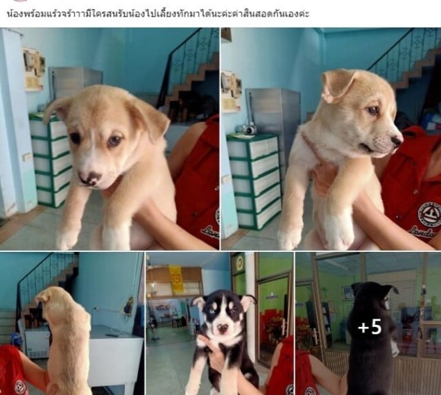 แม่ฟร้อง ศุภกิจ แฟนเก่าเอ้ชุติมา ทำงานอะไร