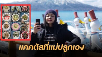 แม่หมู พิมพ์ผกา เลี้ยงแคคตัส
