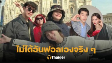 แม่หมู อันฟอล นาย ใบเฟิร์น