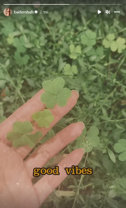 โพสต์ล่าสุด ใบเฟิร์น พิมพ์ชนก อันฟอล ไอจี