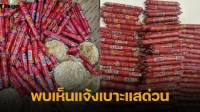 ไส้กรอกแดง เสี่ยงโรคระบาด