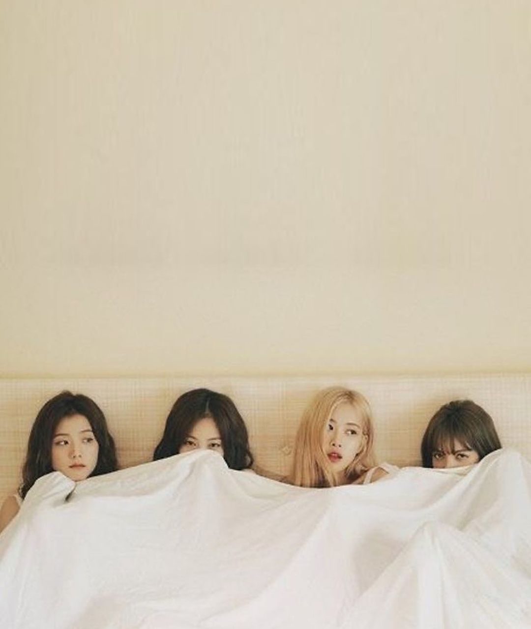 BLACKPINK ครบรอบ 7 ปี