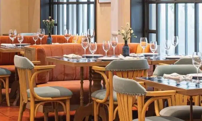 Mimosa--e1692694558815