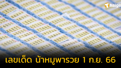 แจกเลขเด็ด 'น้าหมูพารวย' เซียนตัวเลขดัง ลุ้นรางวัลงวด 1 ก.ย. 66