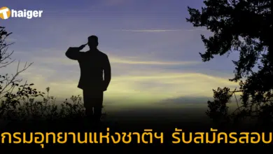 กรมอุทยานแห่งชาติฯ เปิดรับสมัครสอบ 86 ตำแหน่ง มีตำแหน่งใดบ้าง เช็กที่นี่