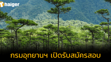 'กรมอุทยานฯ' เปิดรับสมัครสอบ รอบที่ 2 ปี 2566 มีตำแหน่งใดบ้าง เช็กได้ที่นี่