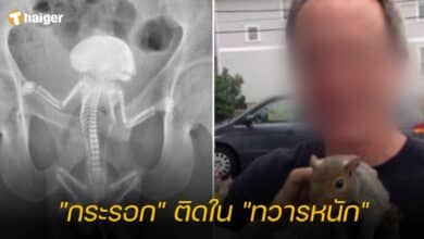"กระรอก" ติดใน "ทวารหนัก"