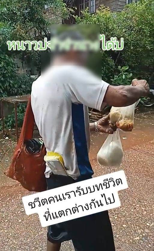 ข่าว สังคมวันนี้