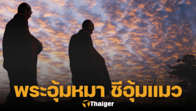 ตำนาน พระอุ้มหมา ชีอุ้มแมว
