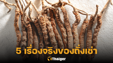 ถั่งเช่า ถั่งเช่าสกัด