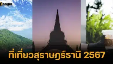 ที่เที่ยวสุราษฎร์ธานี 2024