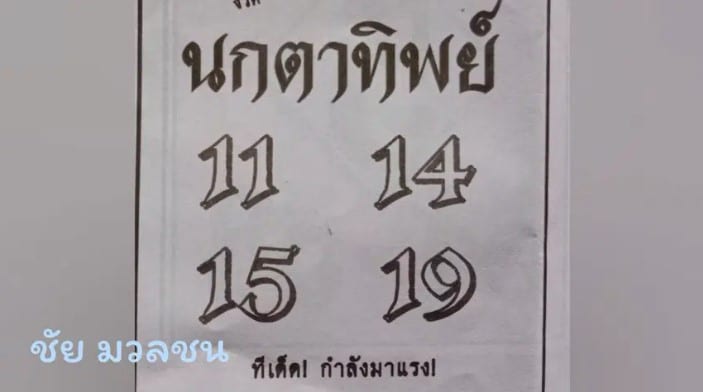 นกตาทิพย์ 16 8 66