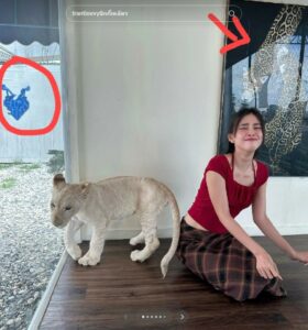นิกกี้ แฟนใหม่ มิสเวียดนาม 2018