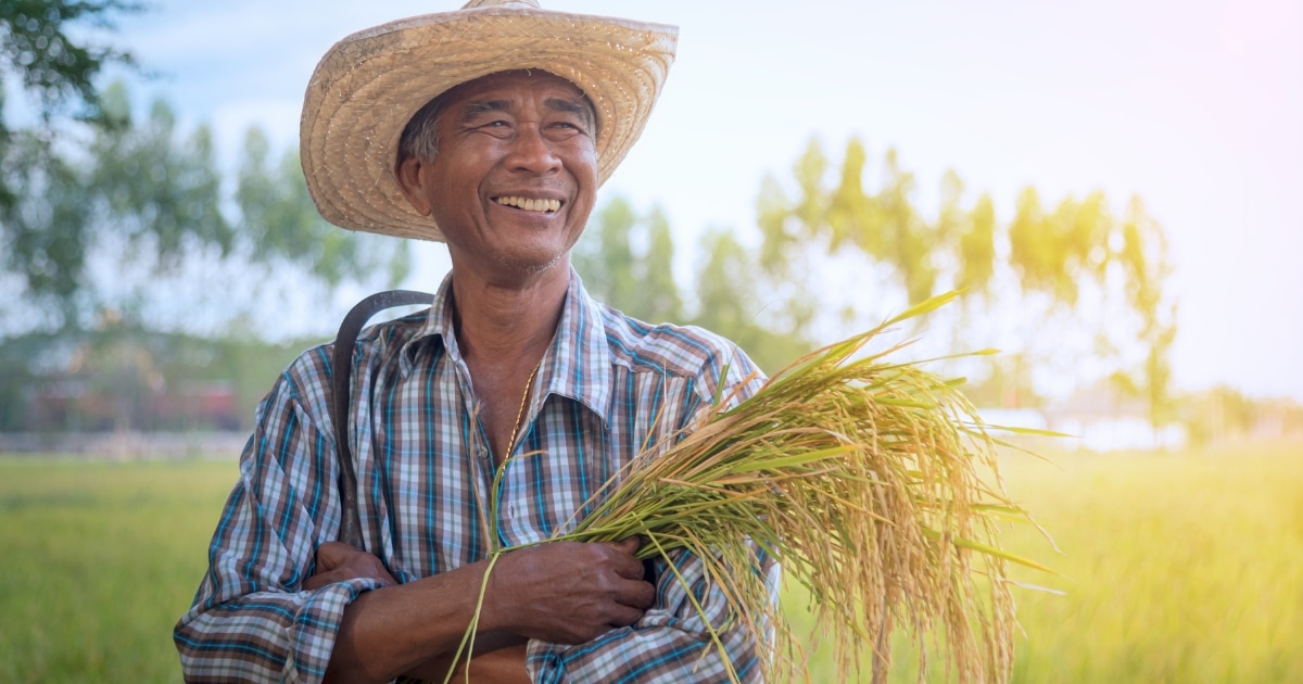 นโยบายเศรษฐกิจ พรรคเพื่อไทย
